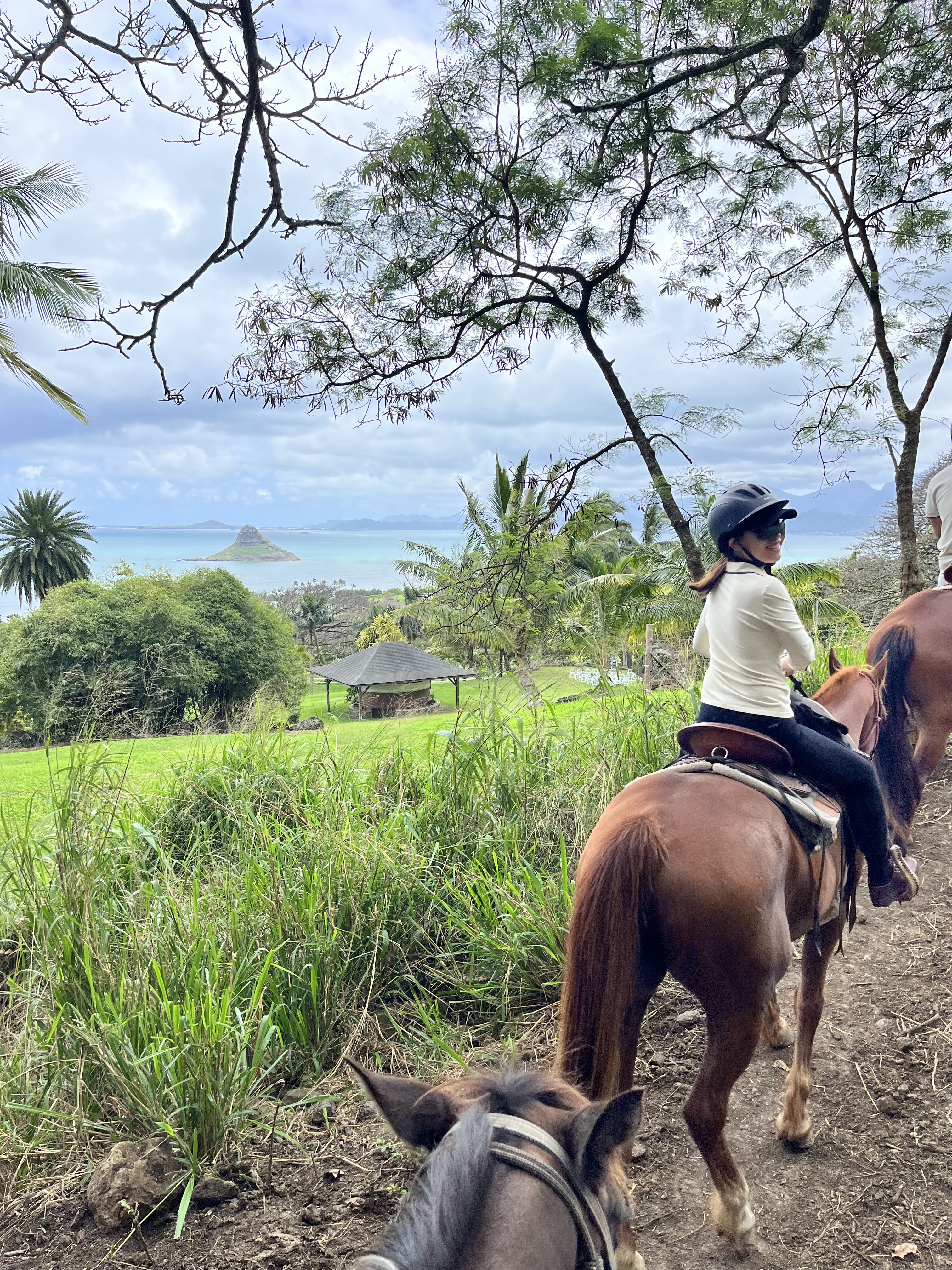 When travel met hobby